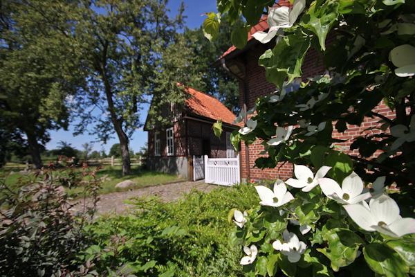 Landgasthof Zur Heideschenke Hotel Wolthausen Buitenkant foto